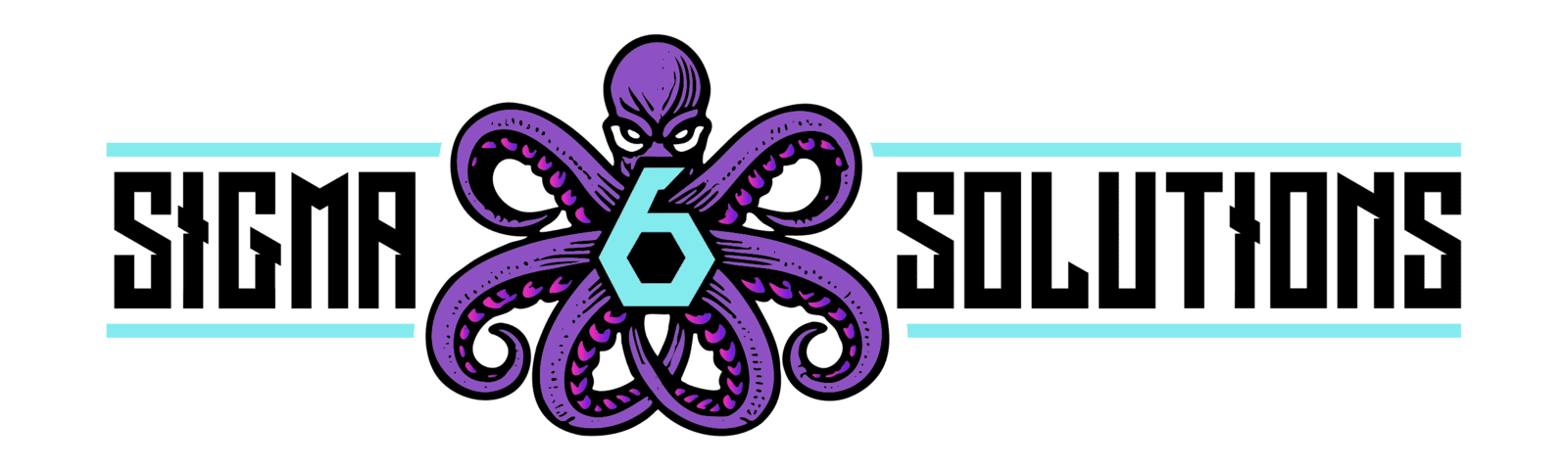 Sigma 6 Solutions LLC